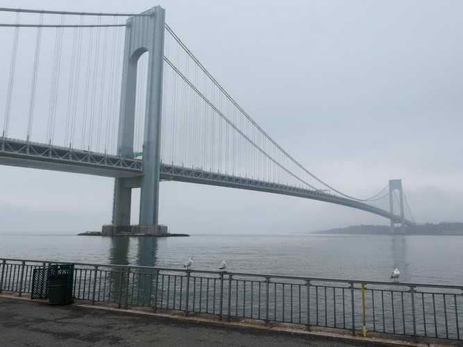 NYC_2020-02-01 11-47-10_P1090194